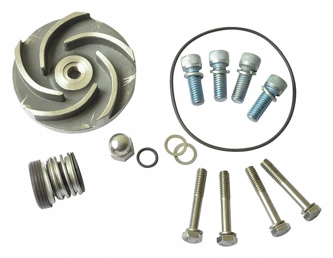 Dayton Dayton 21TG62 Repair Kit for 2ZWT8 Pump — product photo