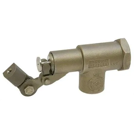 Stainless steel 3/4 inch float valve with Viton seal, horizontal FNPT connection