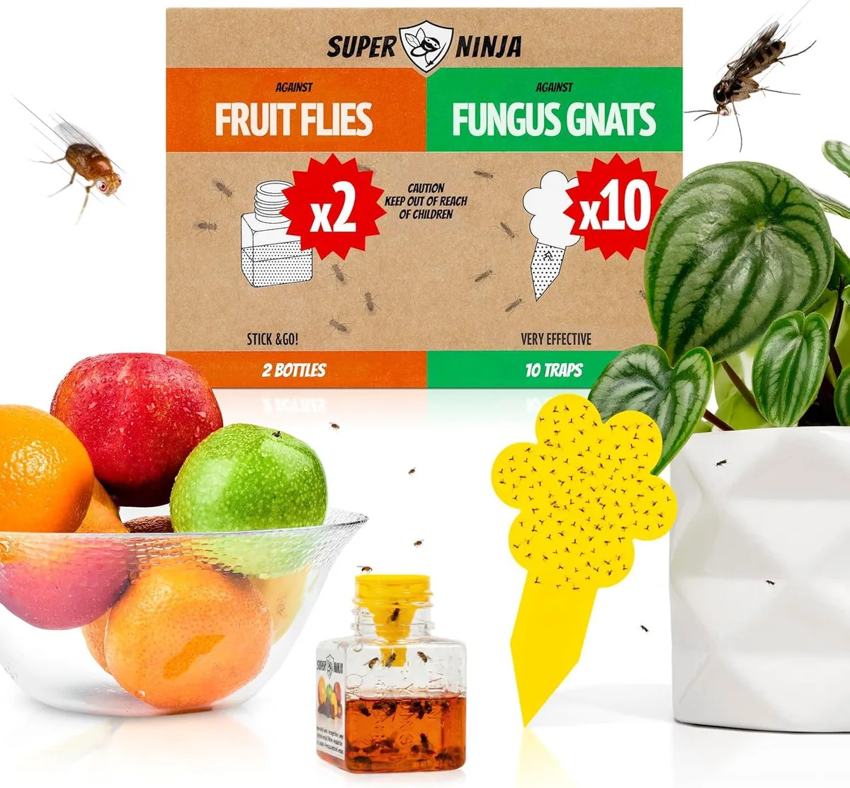 Yellow sticky plant traps and two fruit fly catcher bottles