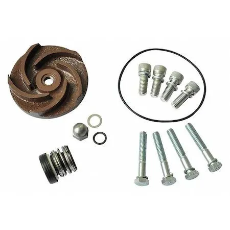 Dayton Dayton 21TG36 Repair Kit for 2ZWN9A Pump — product photo