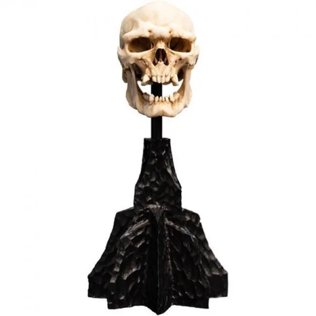 WETA WORKSHOP WETA WORKSHOP 86-13-04599 Lord of the Rings Mordor Orc Skull Miniature Polystone Statue — product photo