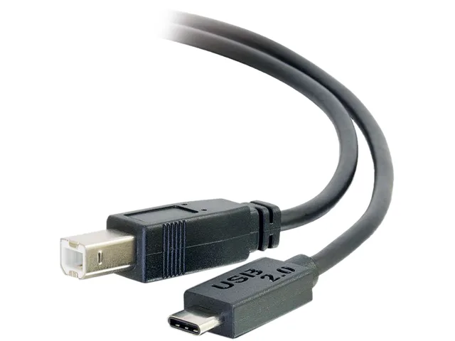 Cables To Go Cables To Go 28861 USB 2.0 Type C to USB B cable 12 ft — product photo