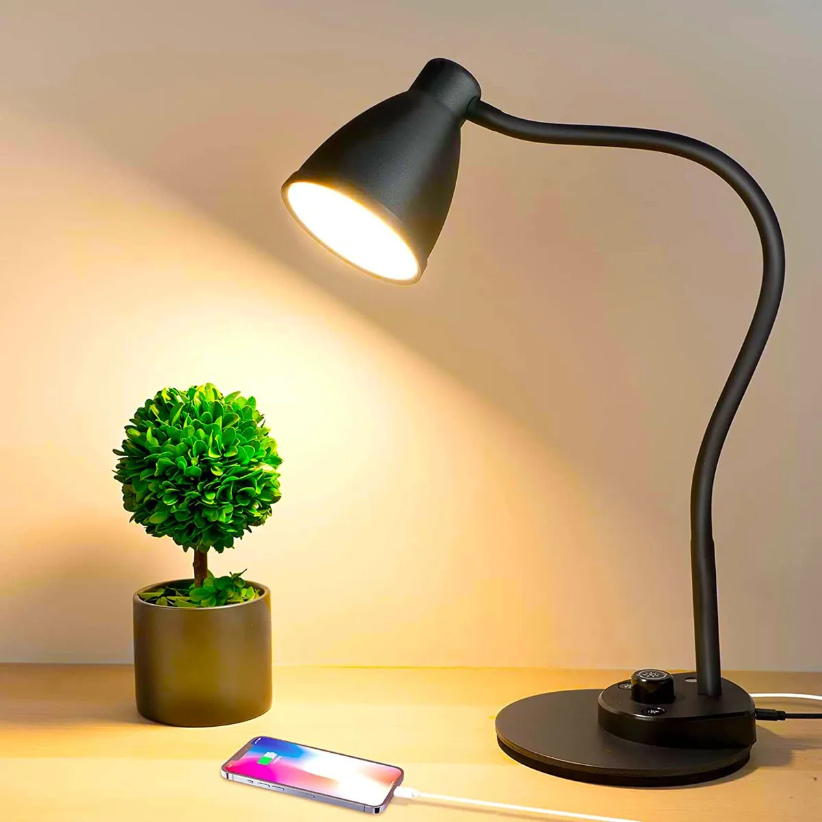 Matte oval desk lamp on a flexible neck, 18.9 inches tall with USB port