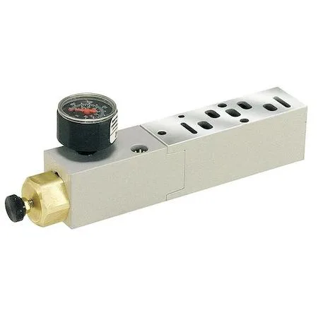 SPEEDAIRE SPEEDAIRE 15407-2 Manifold Air Regulator 145 psi 120F — product photo