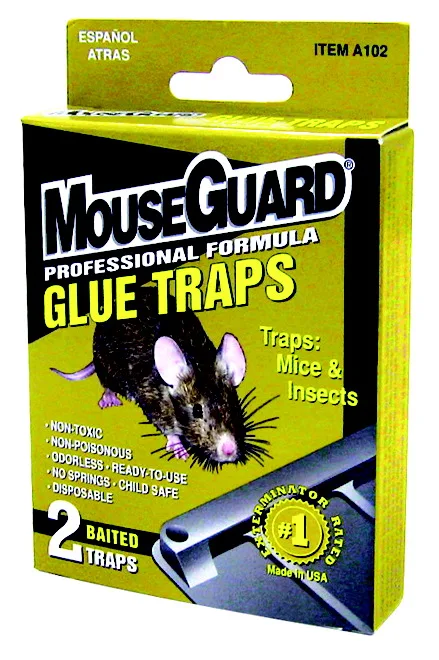 Two flat rectangular glue trays in a pack, light adhesive surface visible, no springs or bait stations