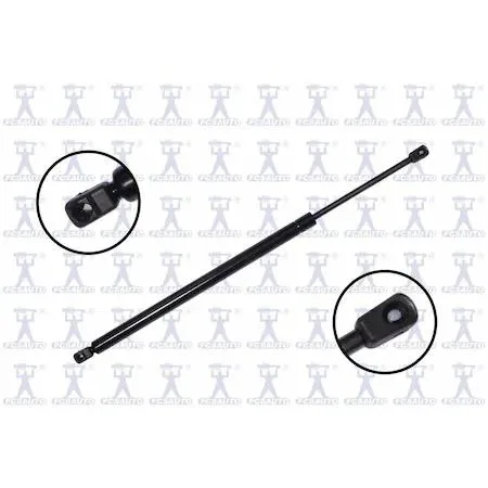FCS Struts 86246 transparent lift support hatch