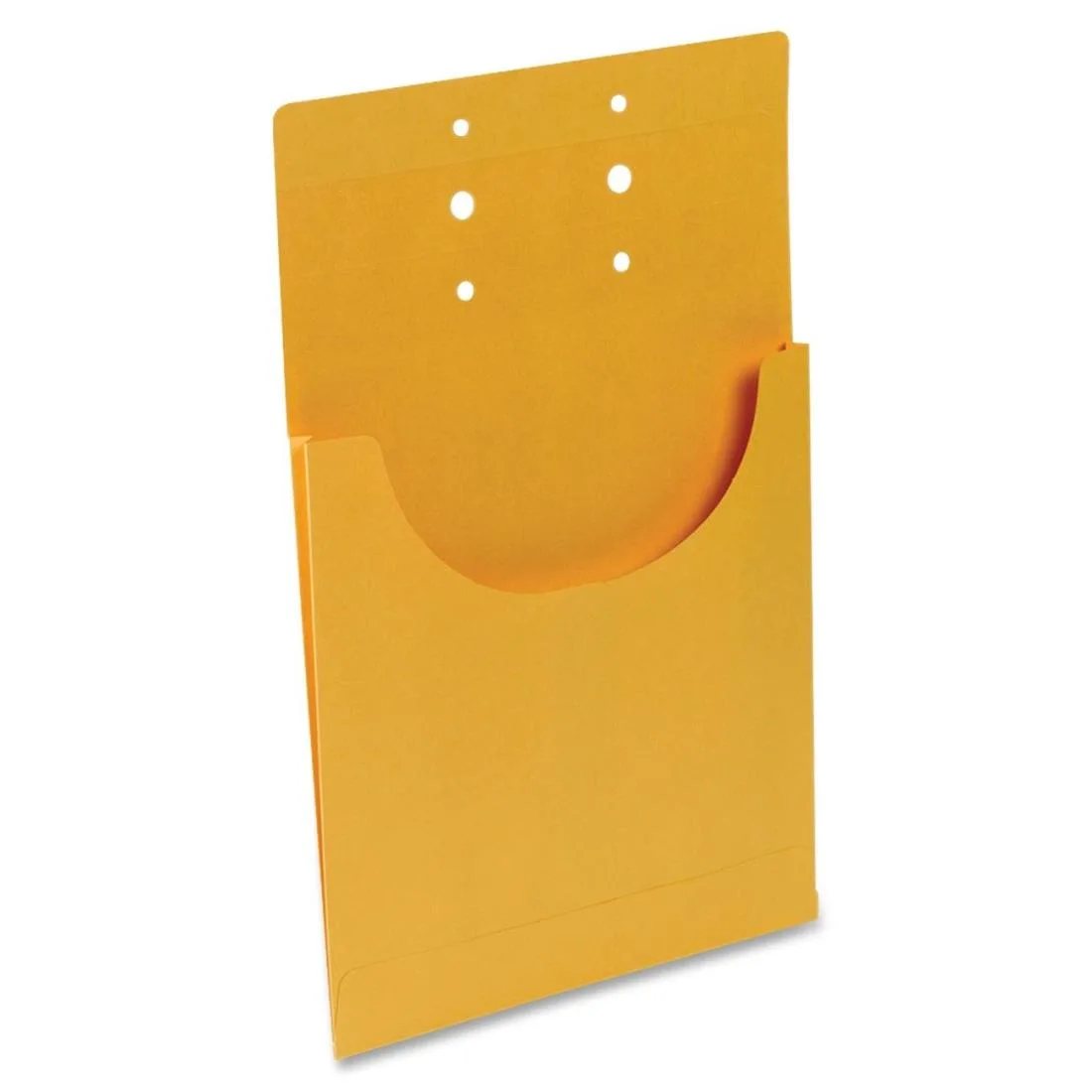 Business Source Business Source 15700 Classification Pocket Top Load .75" Exp 100/BX Kraft accessory — product photo