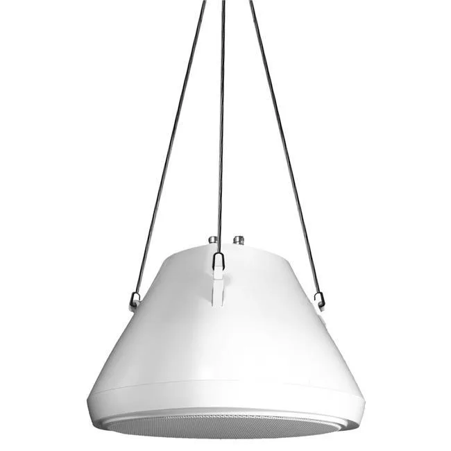 SPECO TECHNOLOGIES SPECO TECHNOLOGIES SP30PT 2-way Pendant Speaker 30 W RMS 8 Ohm 95 Hz — product photo