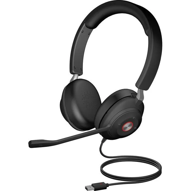 Lenovo Lenovo HS2000 USB Stereo Headset with Ear Cup Controls — product photo