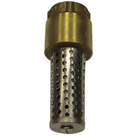 2-inch brass spring foot valve with stainless steel strainer and FNPT connections