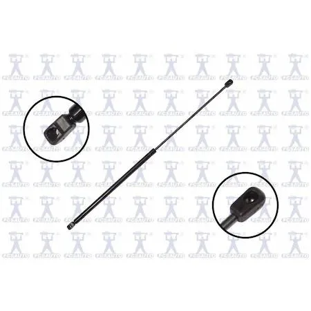 FCS Struts 86160 transparent lift support hood