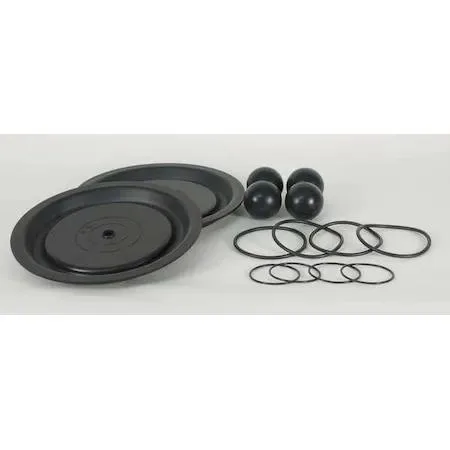 Dayton Dayton Fluid End Repair Kit Santoprene Ball 22A616 — product photo