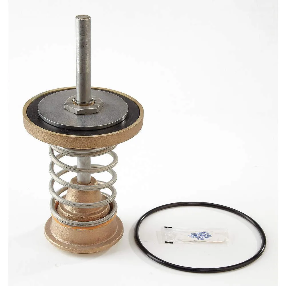 Transparent first check valve repair kit for Watts Series 909 4 in