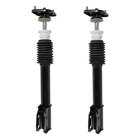 Two rear complete strut assemblies in a kit, fully assembled with coil springs and top mounts