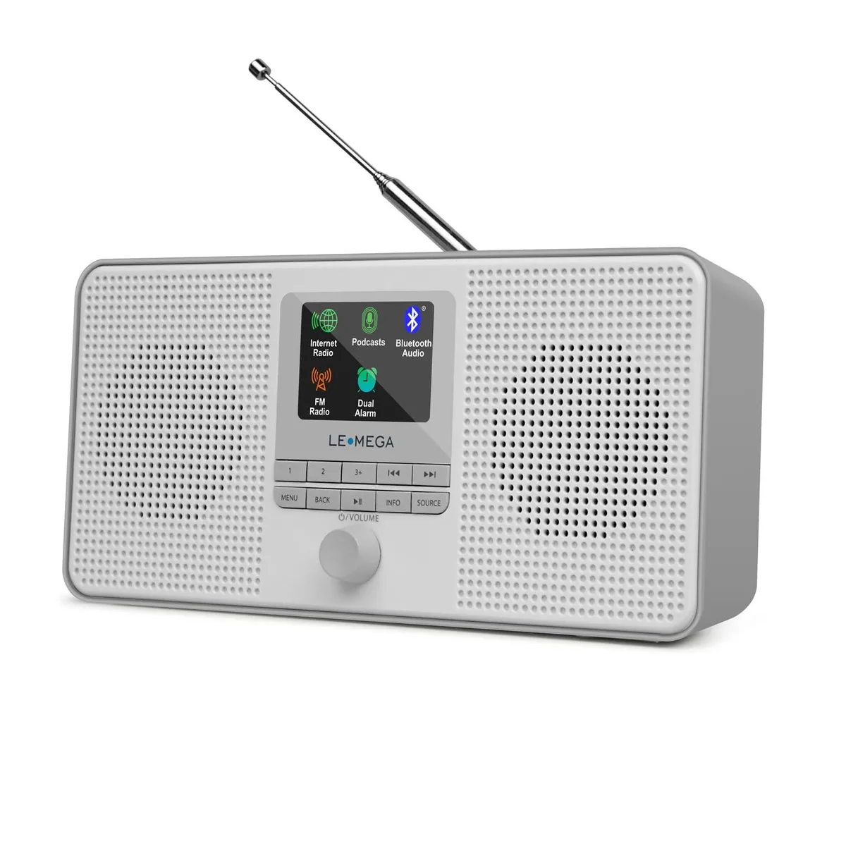 LEMEGA IR4S Internet Radio Stereo 2.5 inch Drivers 6W Gray — product photo