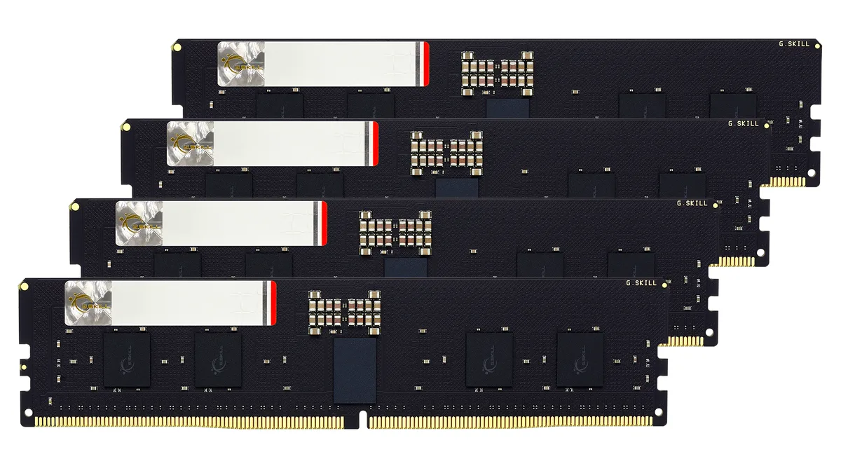G.SKILL G.SKILL F5-6400R3239G16GQ4-G5N 64GB (4×16GB) DDR5 6400 CL32 ECC Registered server RAM — product photo