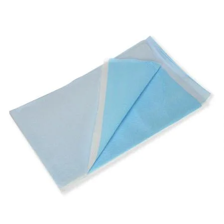 Dealmed Dealmed 784062 Stretcher Sheet 1 Ply Tissue Poly 40x90 Blue 50 Pack — product photo