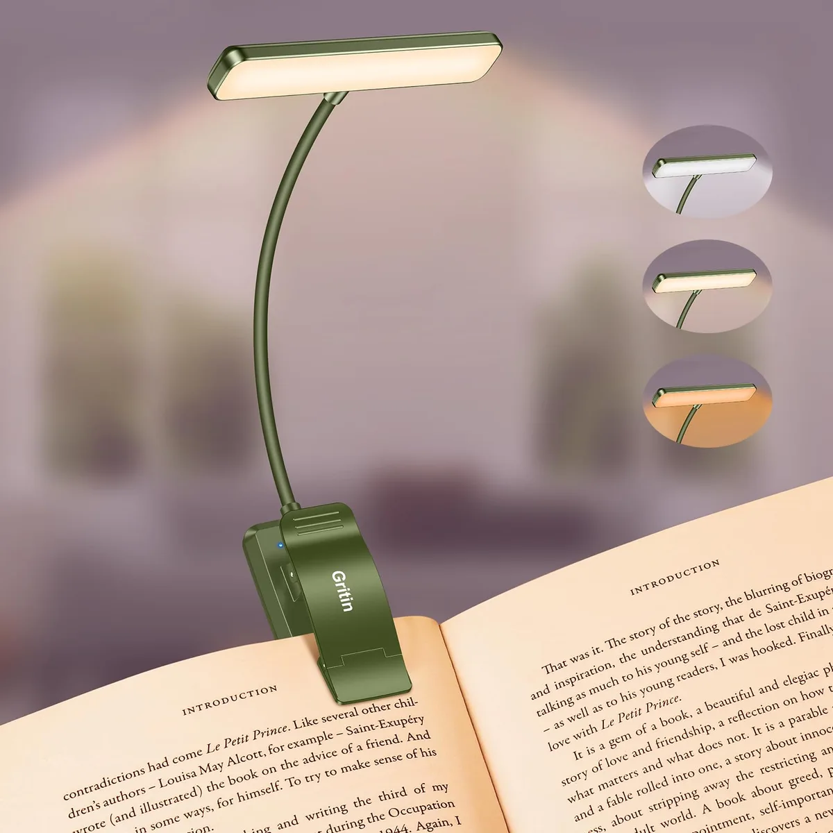 Dark green clip-on book light with horizontal 19 LED head and flexible gooseneck