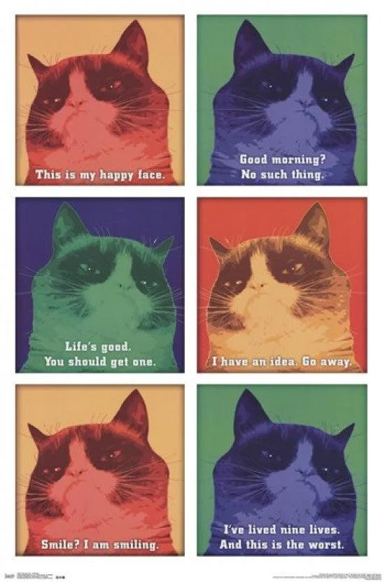 Rectangular Grumpy Cat poster print, 24 by 36 inches, glossy paper finish