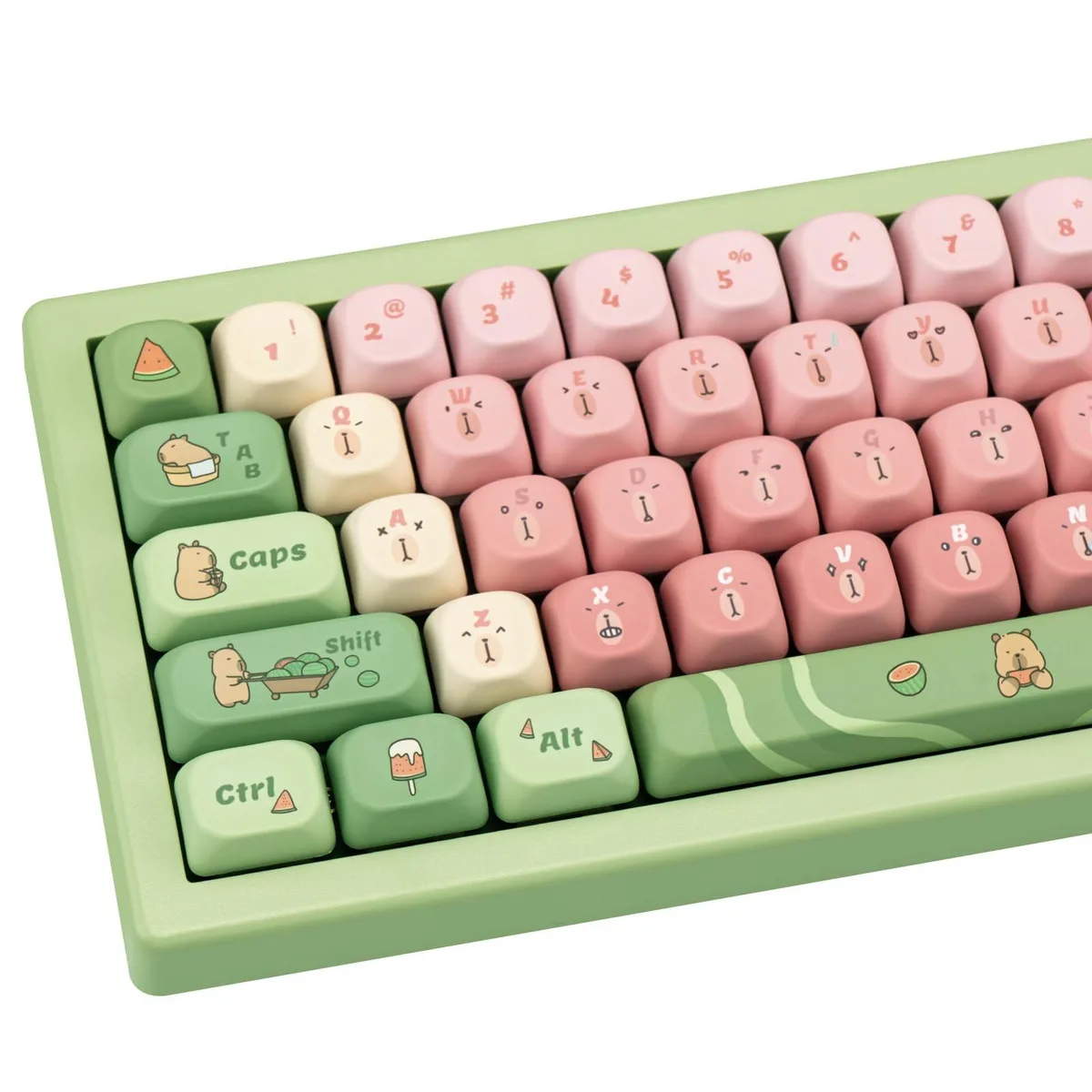 ARCTIC ARCTIC Capybara Gradient Keycaps 130 Keys 1.7mm PBT MOA Profile 2 in 1 accessory — product photo