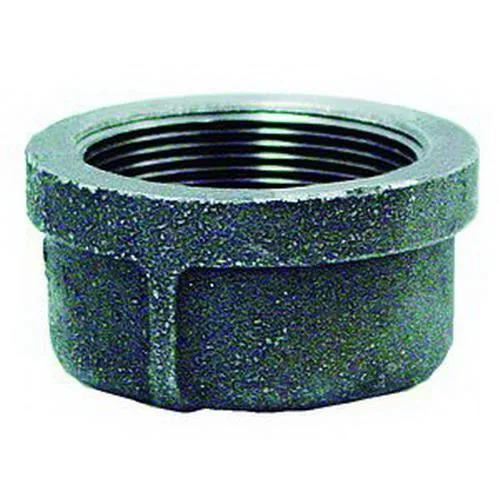 Anvil Anvil 1124 Galvanized Malleable Iron Cap 1 in — product photo