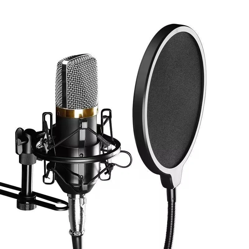 Beyerdynamic HORNO Pop Filter with 360° Gooseneck Mount — product photo