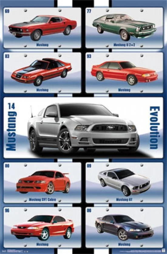 Rectangular Mustang evolution poster print, 22 by 34 inches, glossy paper finish