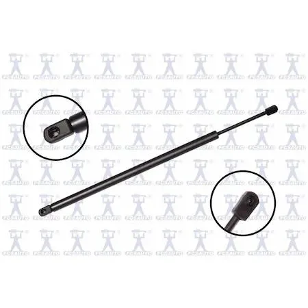 FCS Struts 84150 transparent lift support hood