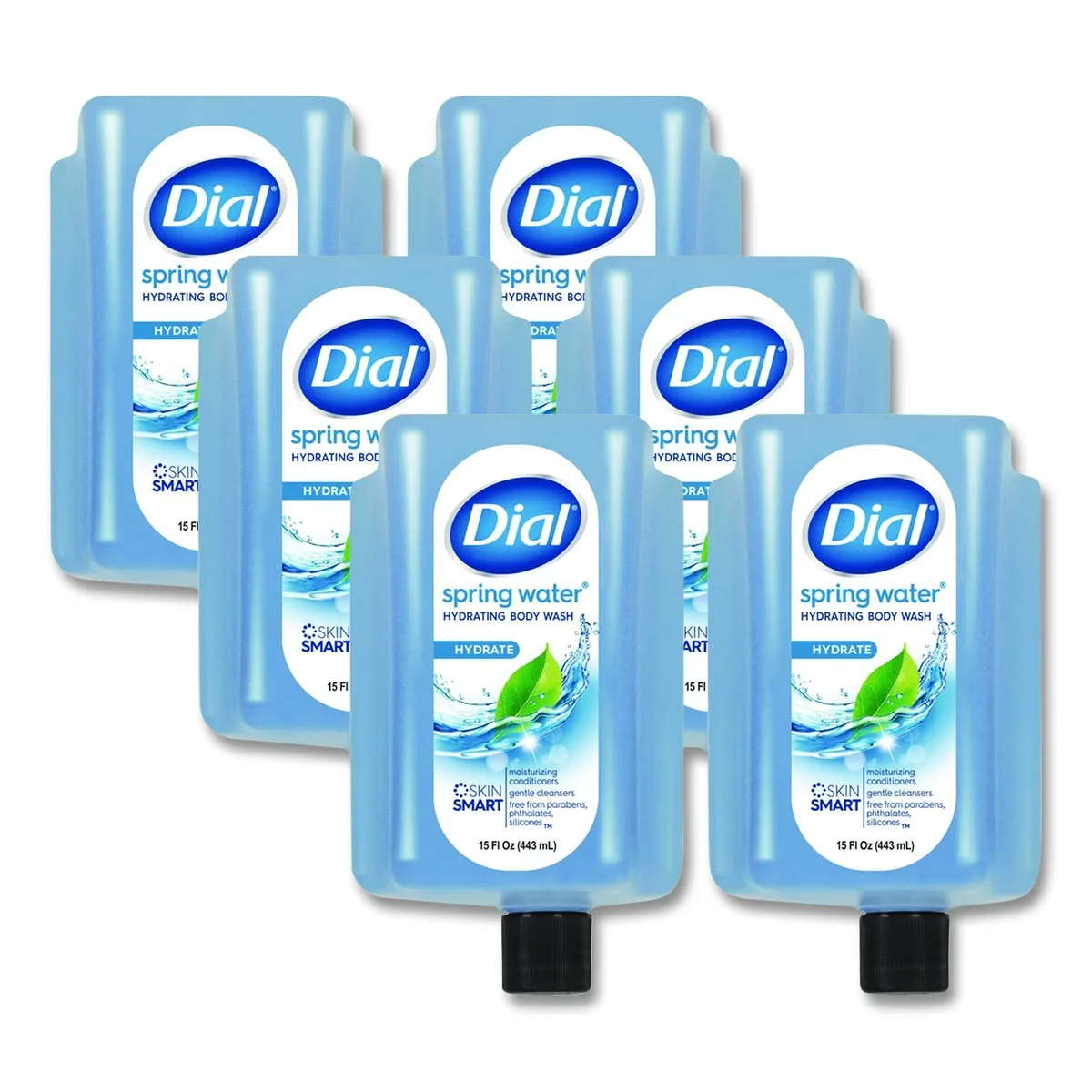 Dial Dial Body Wash Refill Spring Water 15 oz 6 Pack for Versa 34037 — product photo