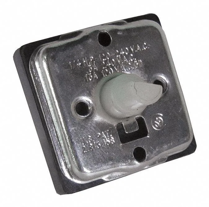 Dayton replacement switch, small rectangular component, plastic body, metal terminals