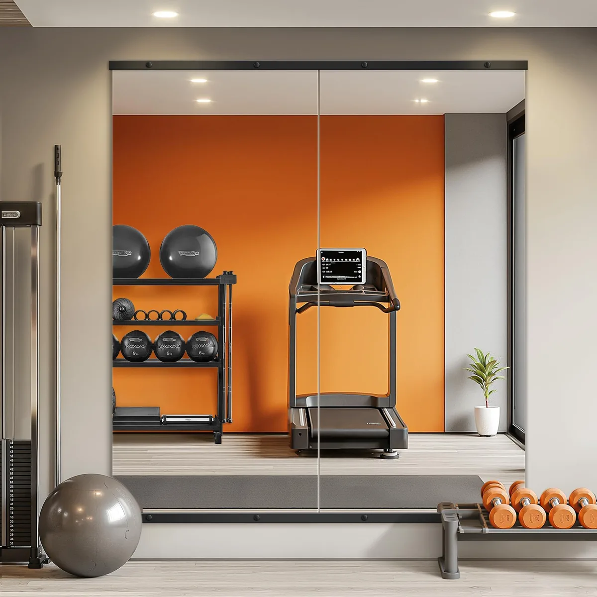  TRAHOME Home Gym Mirror 56x28in 2PCS Black — product photo