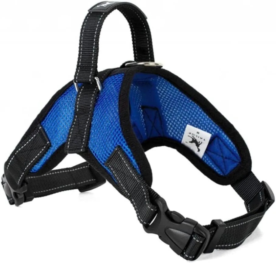 Blue mesh dog harness with adjustable straps, quick-release buckles, metal D-ring and top handle