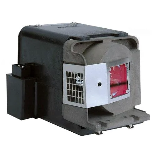 PowerWarehouse replacement lamp module for Viewsonic PJD6251 projector