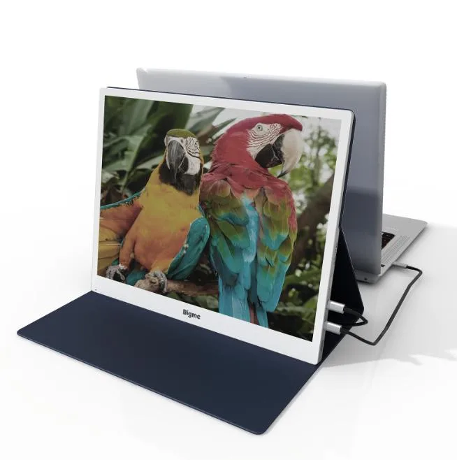 Bigme Bigme B13 13.3" Color Epaper Portable Monitor — product photo