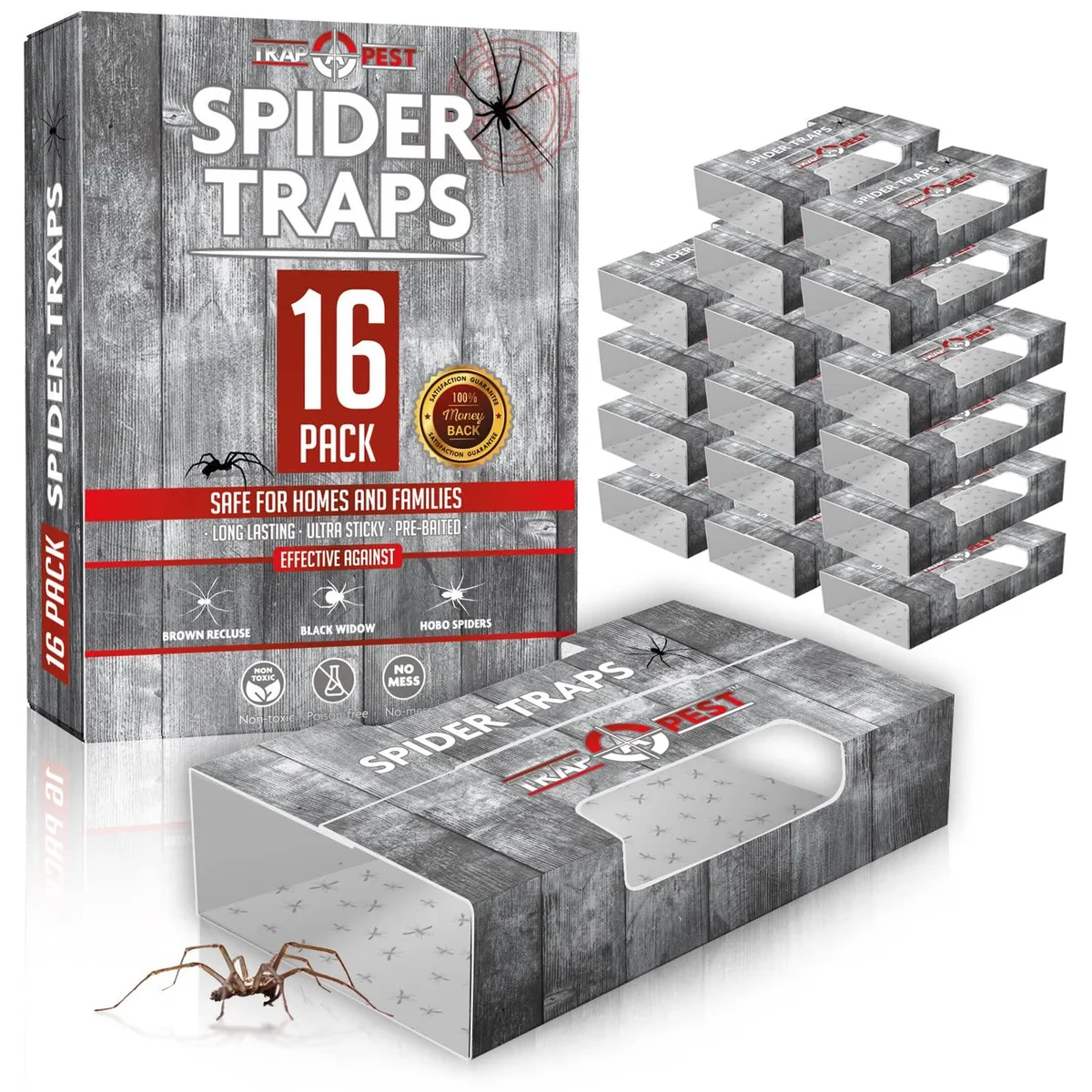Flat rectangular sticky traps in a 16 pack, pre-baited glue surface visible