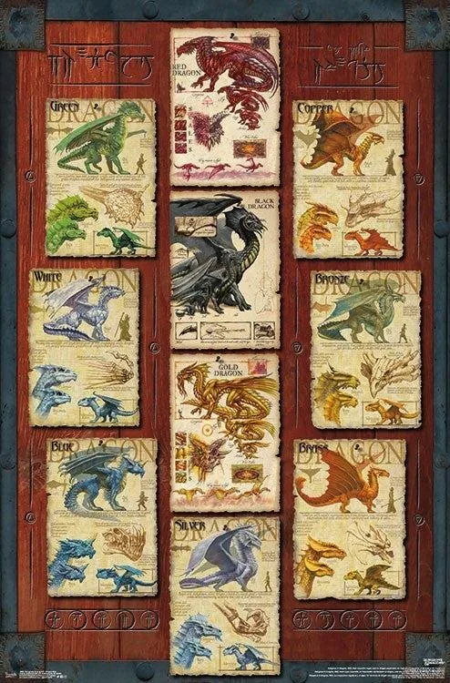 Dungeons and Dragons dragon grid poster print 22 x 34 inches