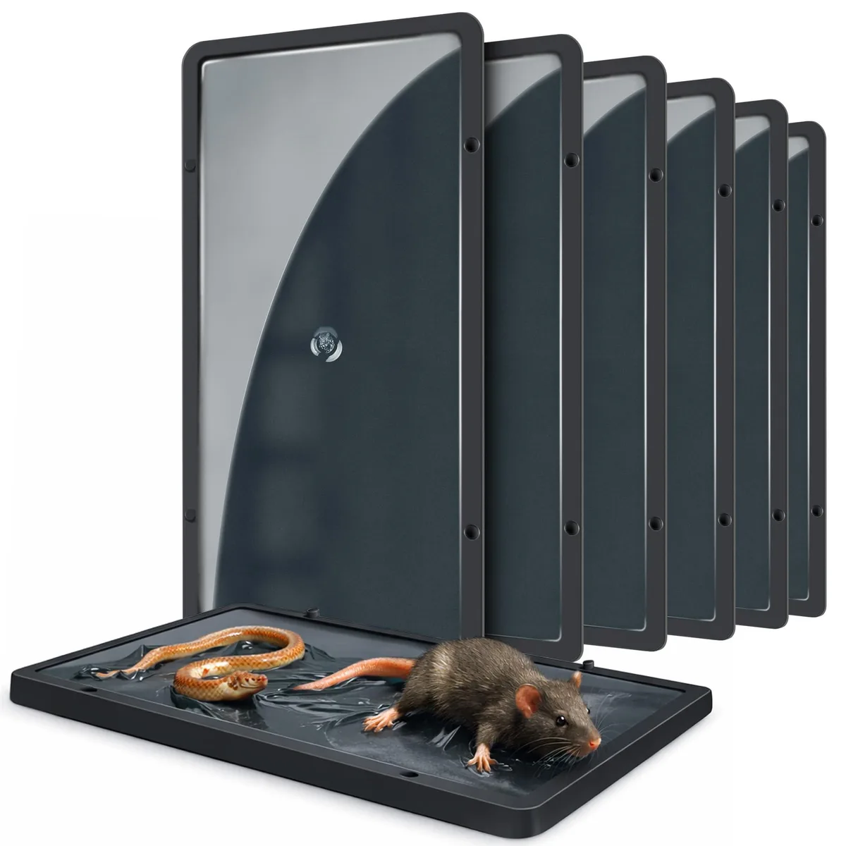  Mouse Rat Glue Traps 10.2x4.9in 6 Pack — product photo