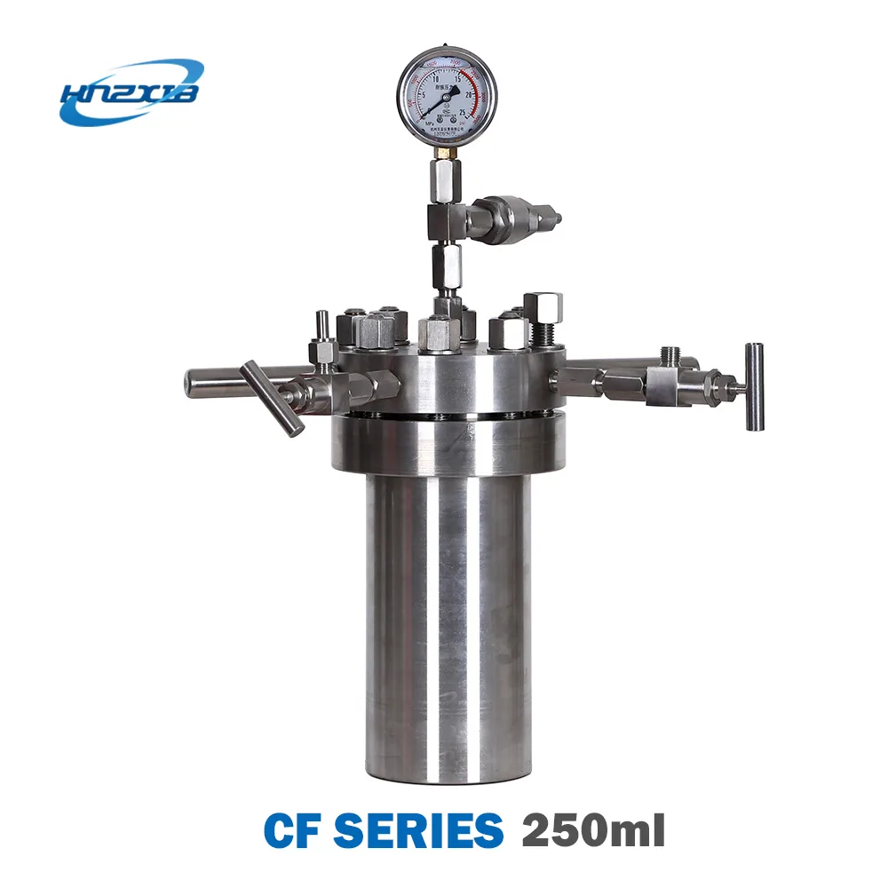 HNZXIB HNZXIB 0.25 L High Pressure Reactor with Gauge and Needle Valve, 250 ml laboratory supply — product photo