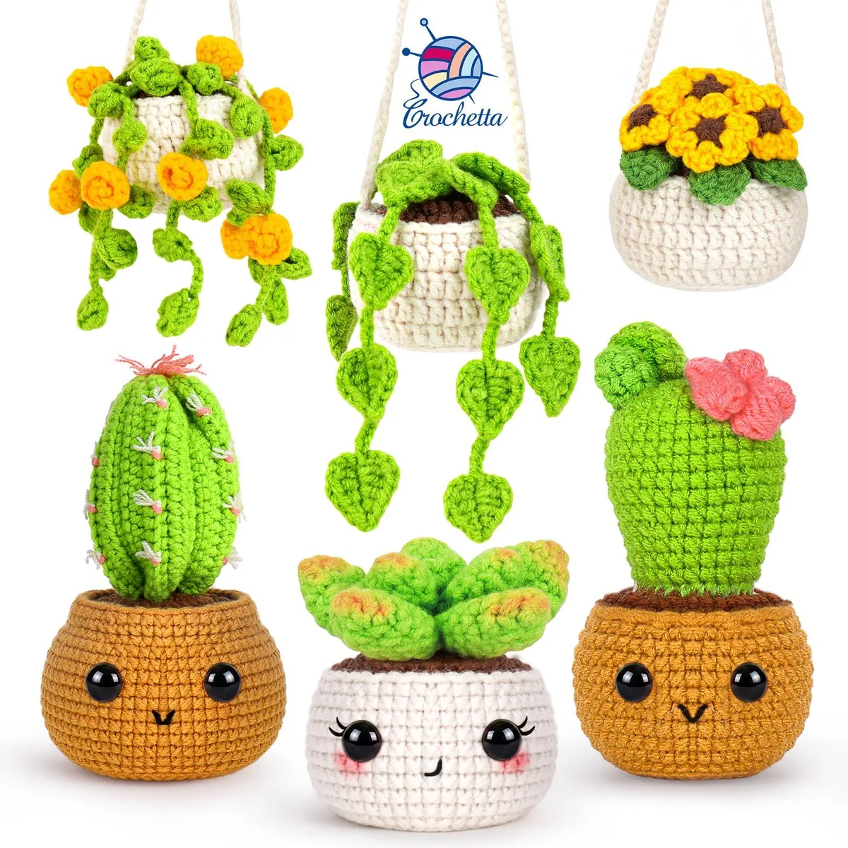Open gift box showing 12 yarn colours, hooks, tools and plant pattern