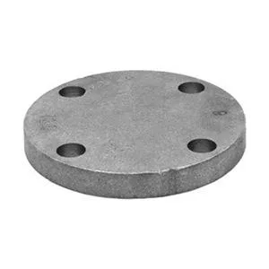 Anvil Anvil 0308016401 Cast Iron Blind Flange Trap Class 125 — product photo