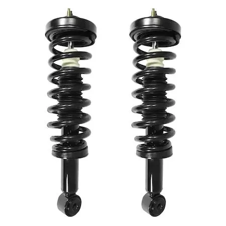 Unity front complete strut assembly kit, two silver struts with coil springs and mounts