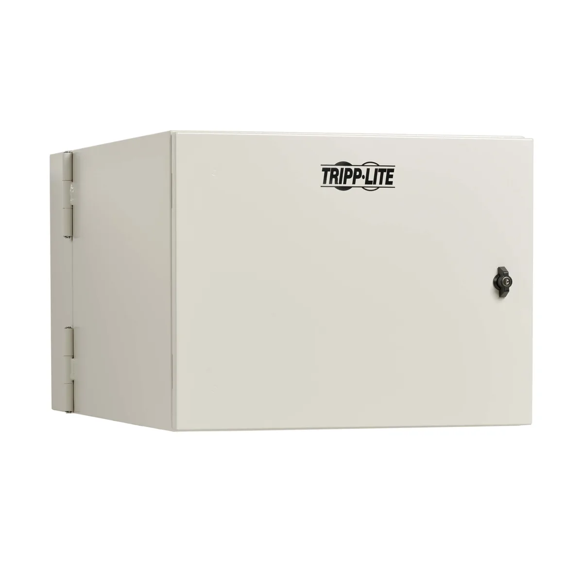 Tripp Lite Tripp Lite SRN4G9USDP 9U Wallmount Server Rack 32IN Depth NEMA 4 Gray — product photo