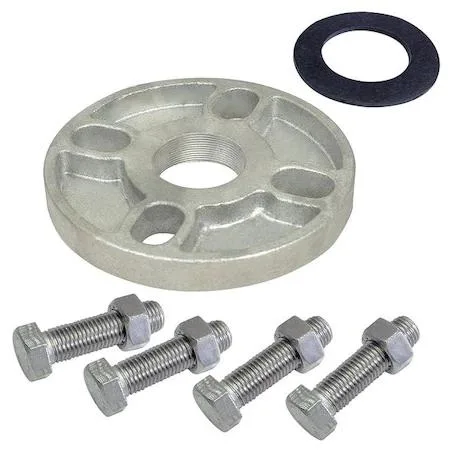 Dayton Dayton 21R871 Booster Pump Flange Kit 1-1/4 NPT SS — product photo