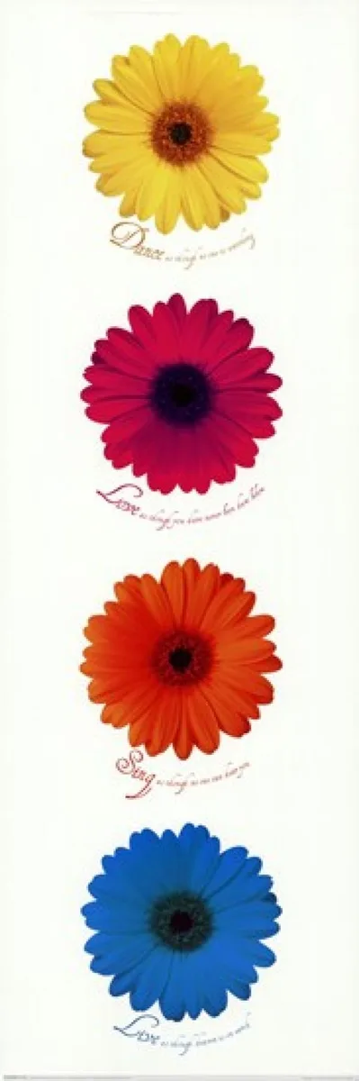 Poster print with daisies and text, 12 by 36 inches, rolled in tube