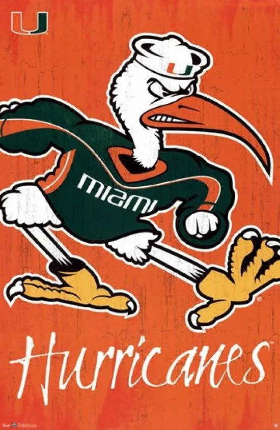University of Miami Logo 13 poster print 24 x 36 inches