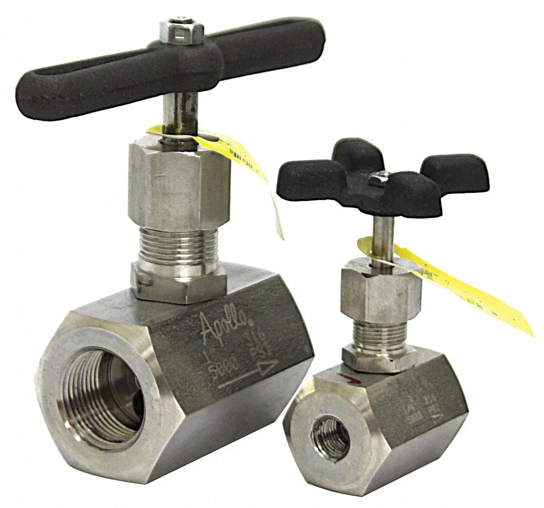 3/4 inch FNPT globe valve in 316 stainless steel with tee handle