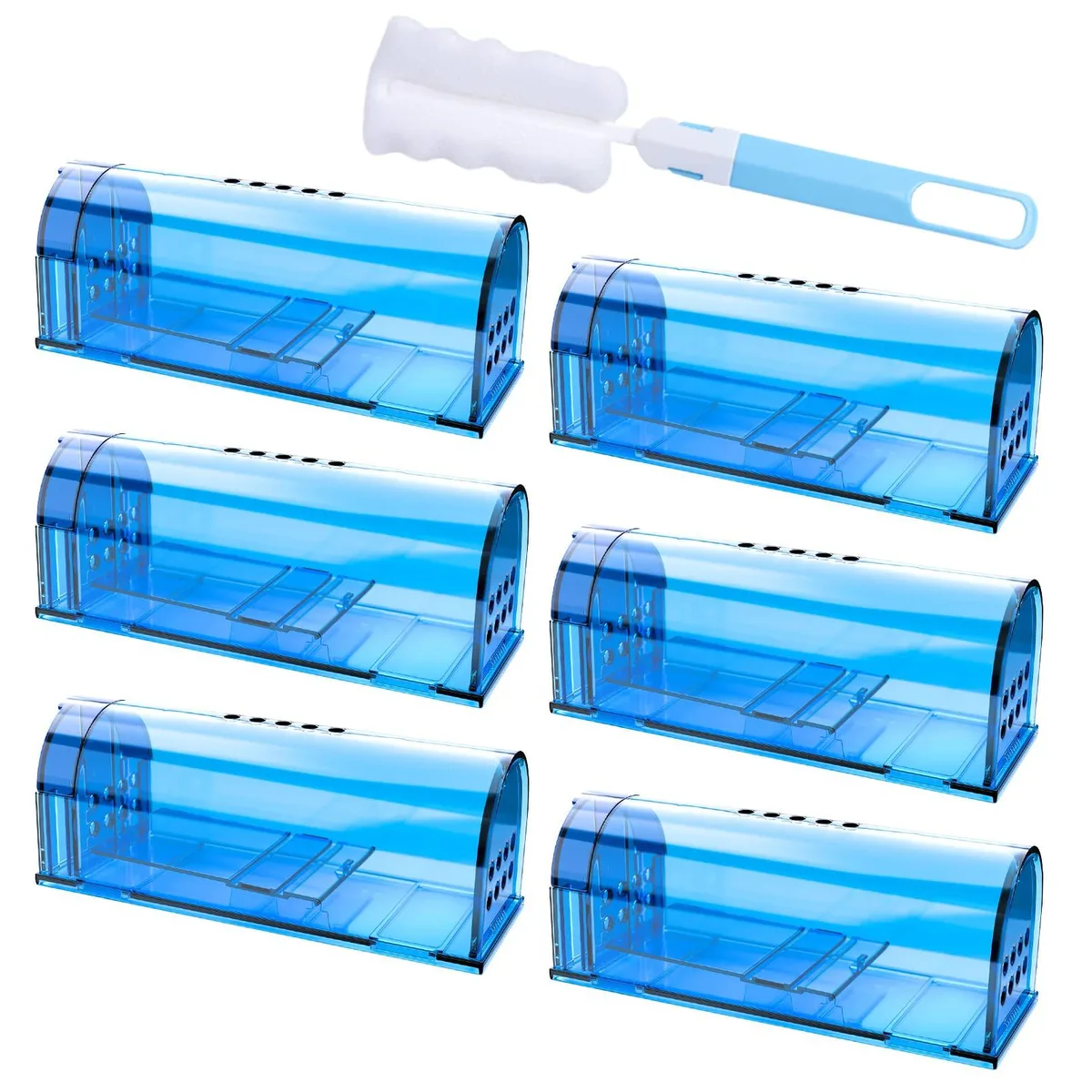 Blue plastic rectangular live-catch trap with spring door and air vents