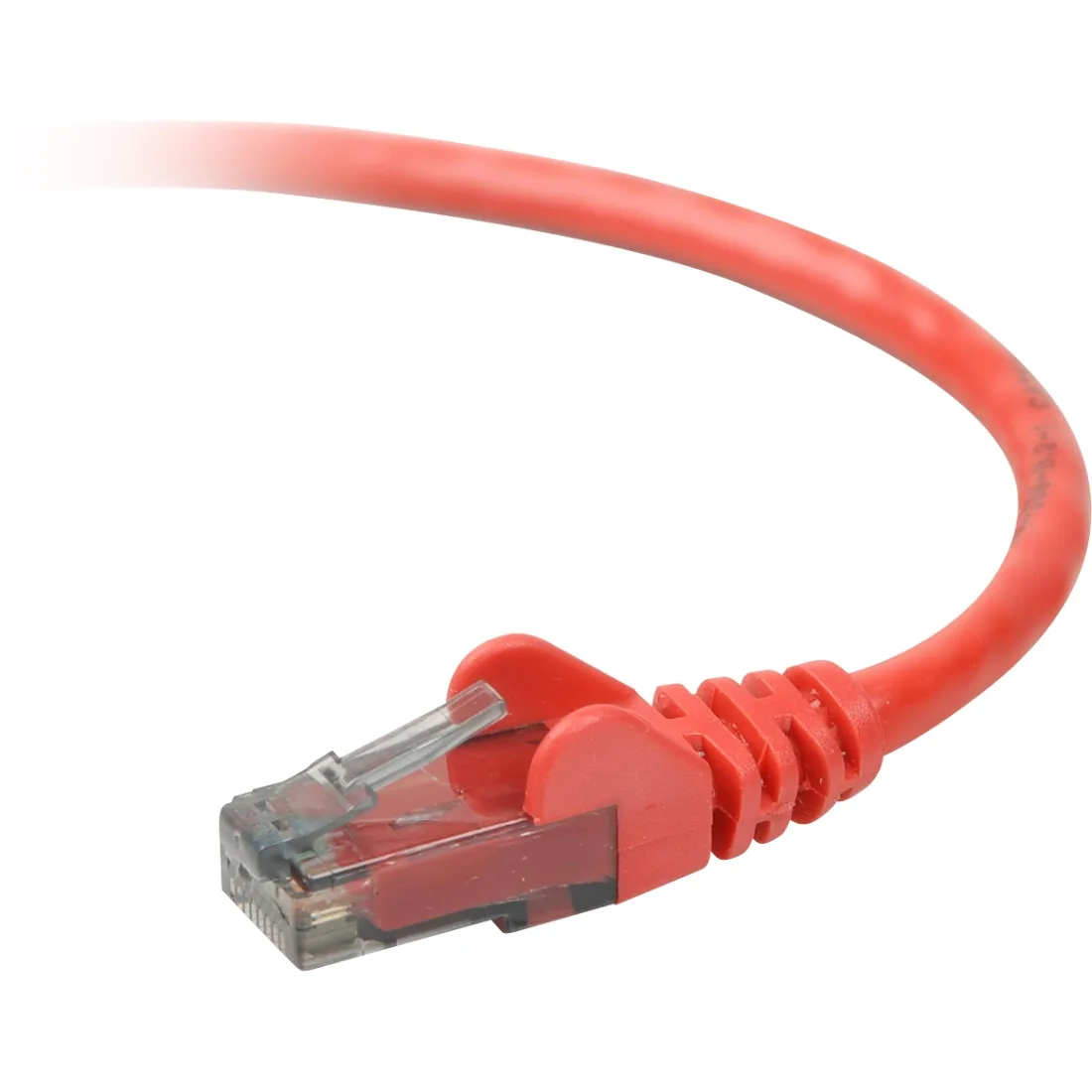 Belkin Belkin A3L980b25-RED-S Cat 6 network ethernet cable 25 ft red — product photo