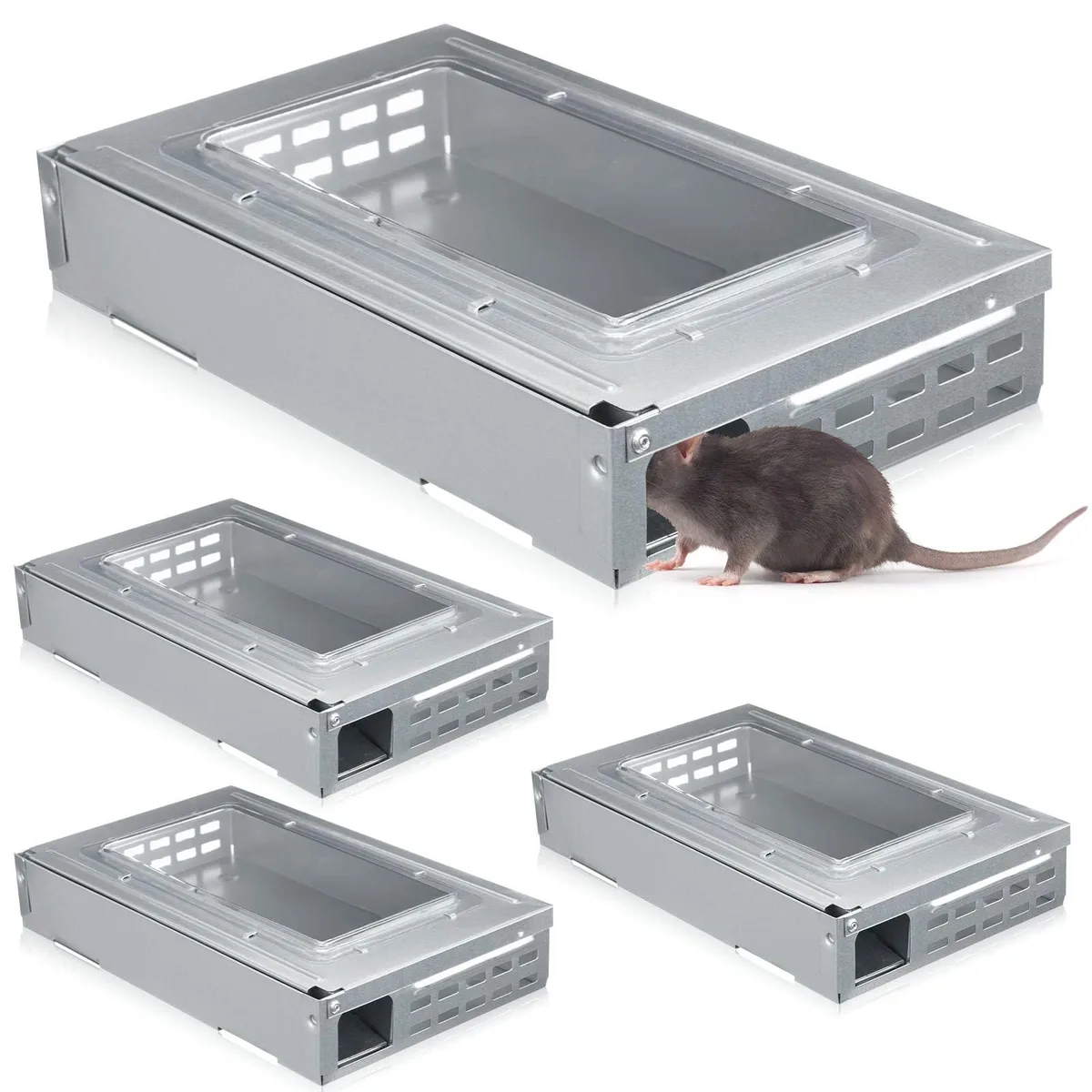 Silver metal mouse trap with clear top lid 6.3 inch length