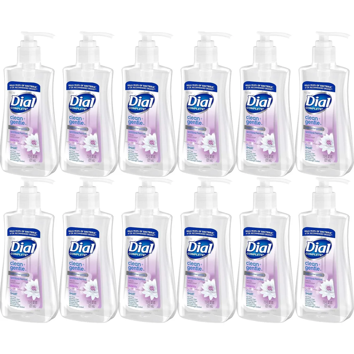Dial Dial skin care 7.5 fl oz 12-Pack — product photo